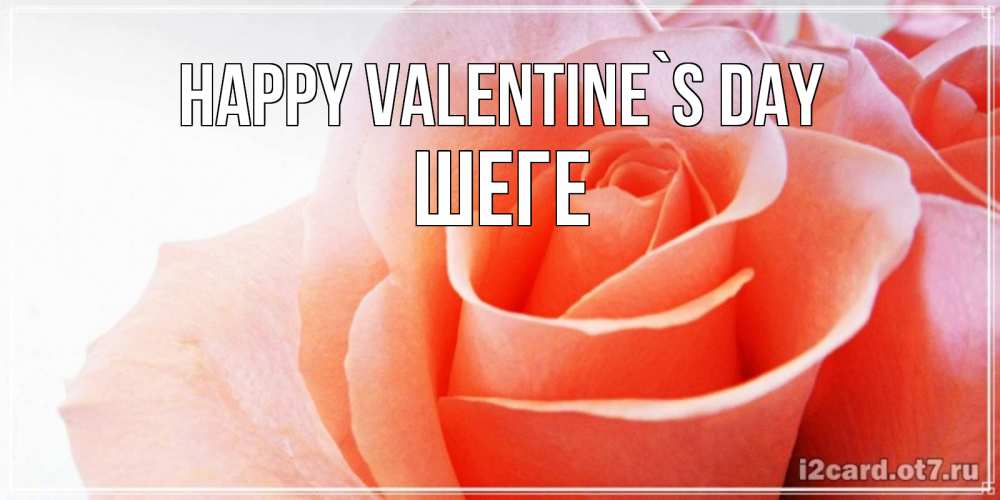 Greetings card с именем, ШЕГЕ Happy Valentine`s Day открытка на день Святого Валентина с розовой розой Greetings with text for free download 